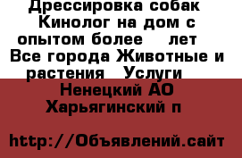 Дрессировка собак (Кинолог на дом с опытом более 10 лет) - Все города Животные и растения » Услуги   . Ненецкий АО,Харьягинский п.